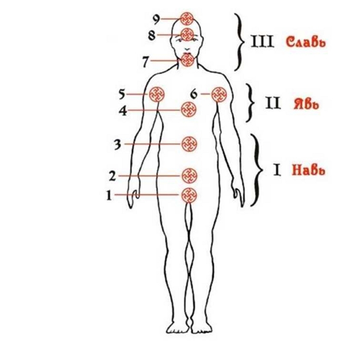 9 чакр славян. славянские энергетические центры человека. чакра исток зарод. чакральная система славян. чакровая система человека.